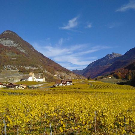 Element-Terre Otel Aigle Dış mekan fotoğraf