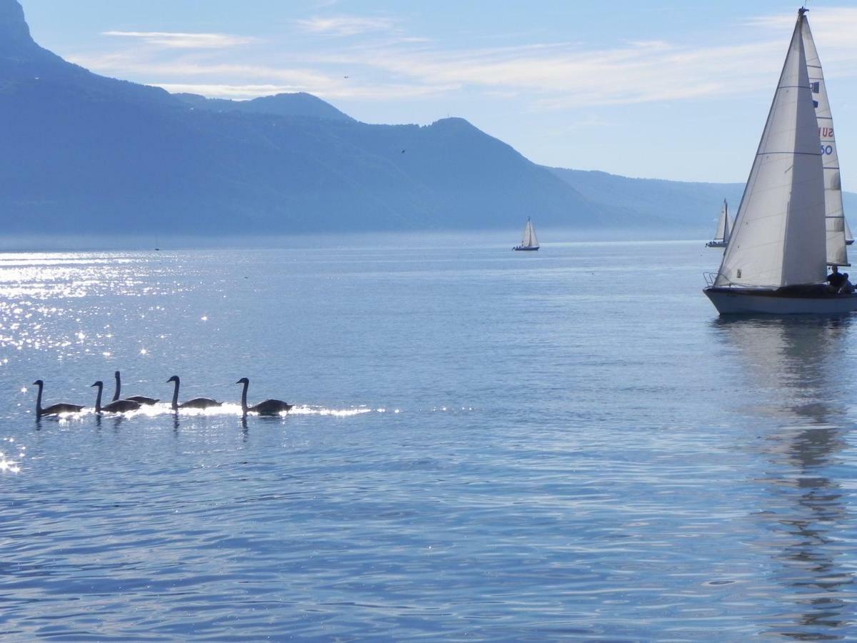 Element-Terre Otel Aigle Dış mekan fotoğraf