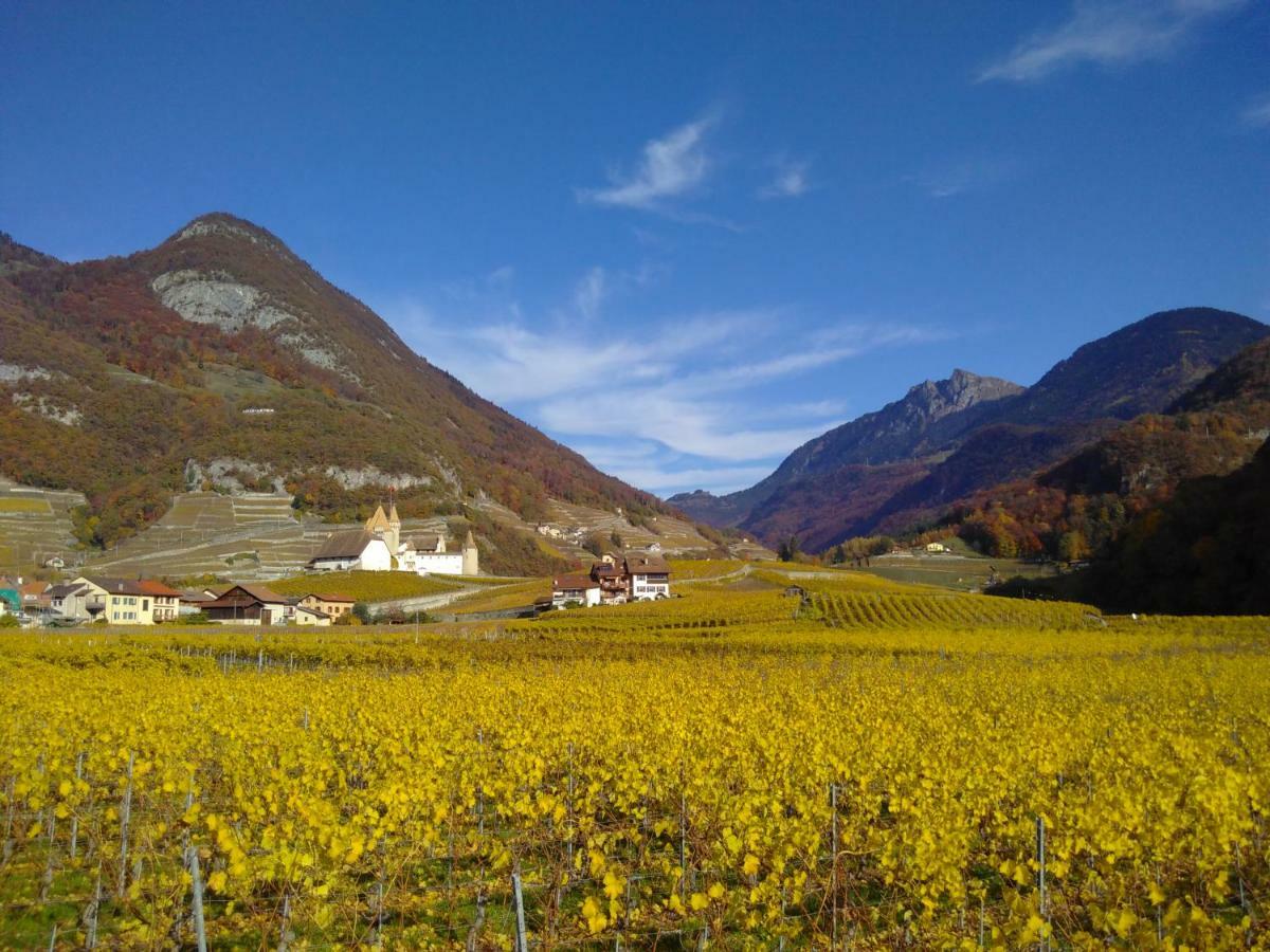 Element-Terre Otel Aigle Dış mekan fotoğraf