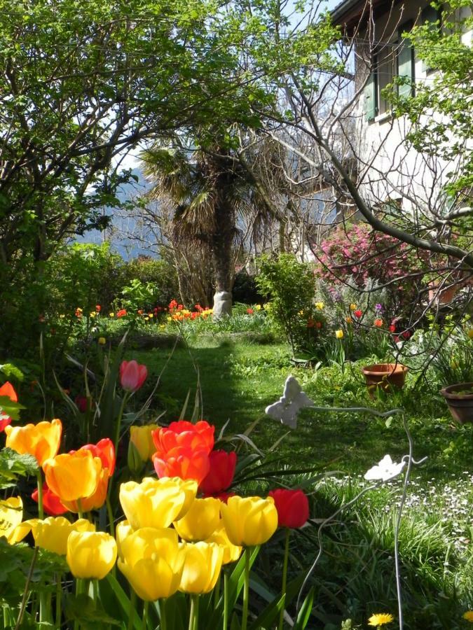 Element-Terre Otel Aigle Dış mekan fotoğraf