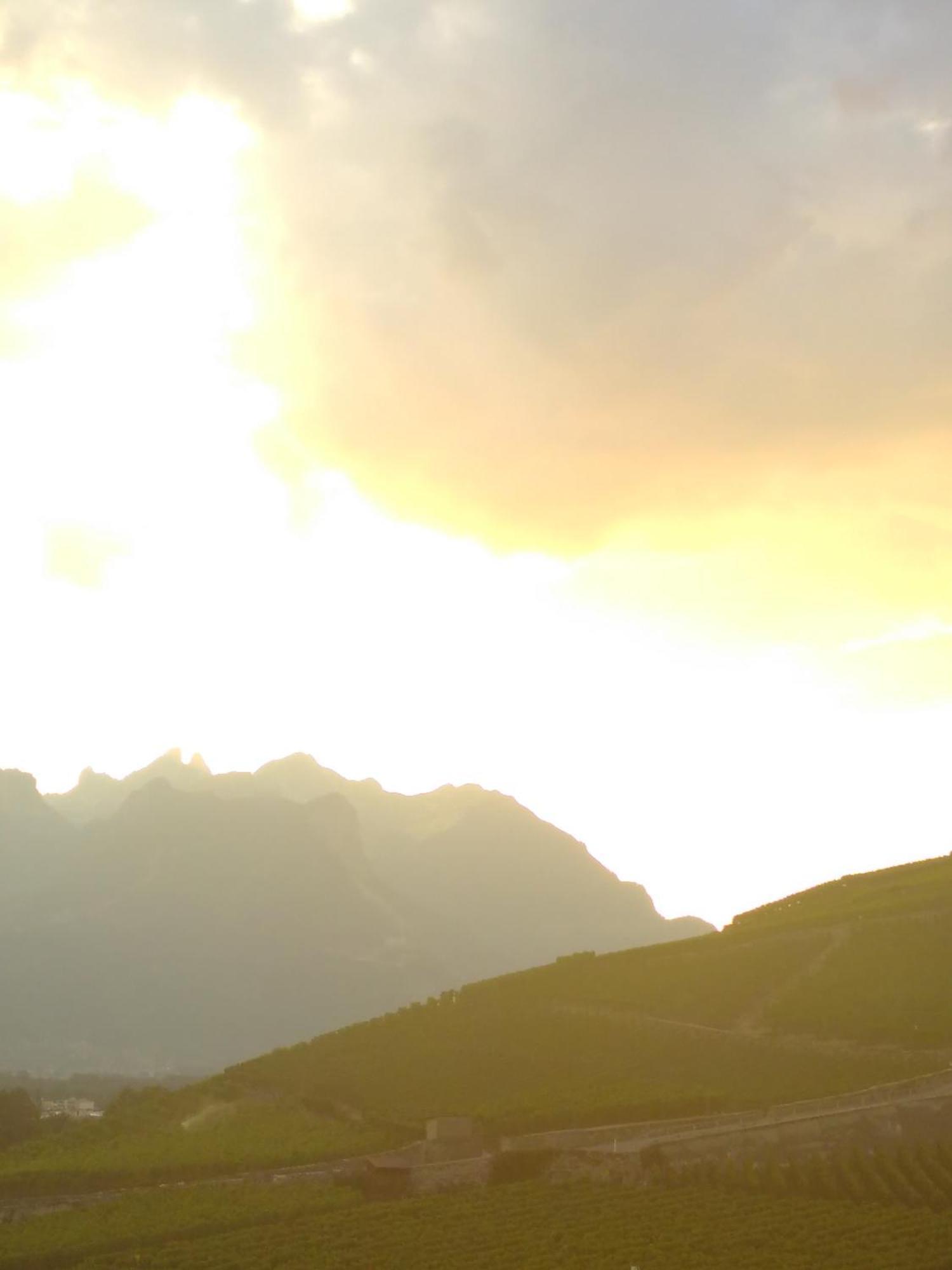 Element-Terre Otel Aigle Dış mekan fotoğraf